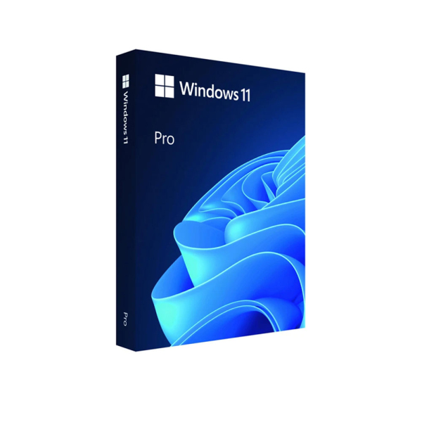Phần mềm Microsoft Win Pro 11 64bit Eng USB FPP/HAV-00163